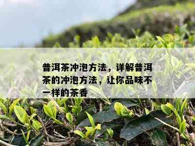 普洱茶冲泡方法，详解普洱茶的冲泡方法，让你品味不一样的茶香