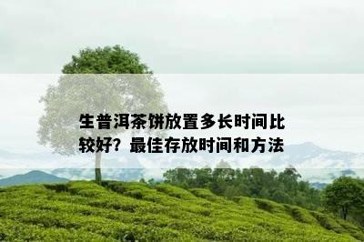 生普洱茶饼放置多长时间比较好？更佳存放时间和方法