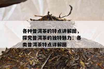 各种普洱茶的特点讲解图，探究普洱茶的独特魅力：各类普洱茶特点详解图