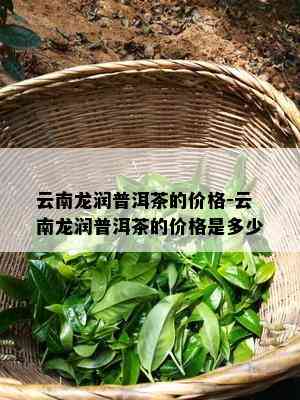 云南龙润普洱茶的价格-云南龙润普洱茶的价格是多少