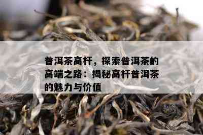 普洱茶高杆，探索普洱茶的高端之路：揭秘高杆普洱茶的魅力与价值