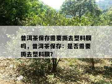 普洱茶保存需要撕去塑料膜吗，普洱茶保存：是否需要撕去塑料膜？