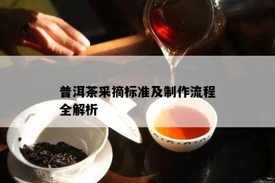 普洱茶采摘标准及制作流程全解析