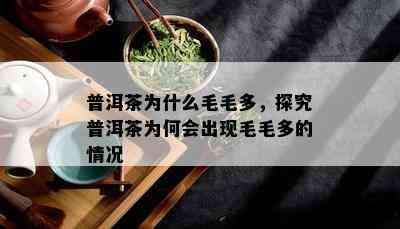 普洱茶为什么毛毛多，探究普洱茶为何会出现毛毛多的情况