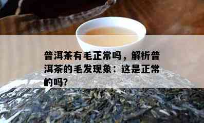 普洱茶有毛正常吗，解析普洱茶的毛发现象：这是正常的吗？