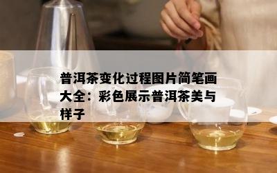 普洱茶变化过程图片简笔画大全：彩色展示普洱茶美与样子