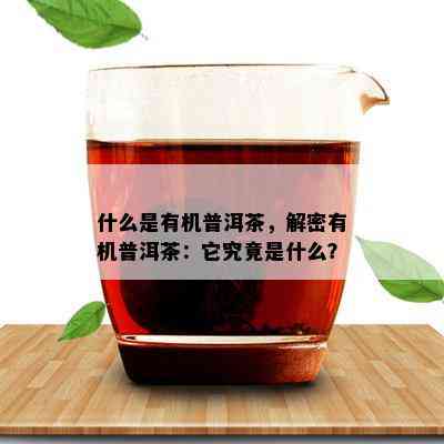 什么是有机普洱茶，解密有机普洱茶：它究竟是什么？