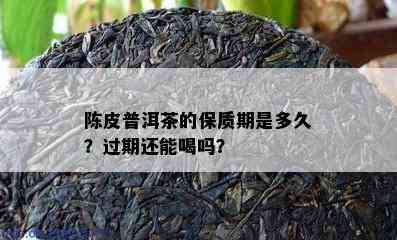 陈皮普洱茶的保质期是多久？过期还能喝吗？