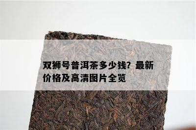 双狮号普洱茶多少钱？最新价格及高清图片全览