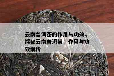 云南普洱茶的作用与功效，探秘云南普洱茶：作用与功效解析