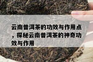 云南普洱茶的功效与作用点，探秘云南普洱茶的神奇功效与作用