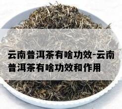 云南普洱茶有啥功效-云南普洱茶有啥功效和作用