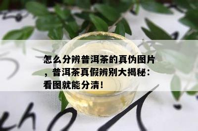 怎么分辨普洱茶的真伪图片，普洱茶真假辨别大揭秘：看图就能分清！