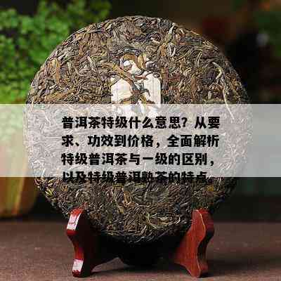 普洱茶特级什么意思？从要求、功效到价格，全面解析特级普洱茶与一级的区别，以及特级普洱熟茶的特点。