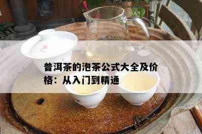 普洱茶的泡茶公式大全及价格：从入门到精通