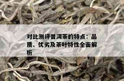 对比测评普洱茶的特点：品质、优劣及茶叶特性全面解析