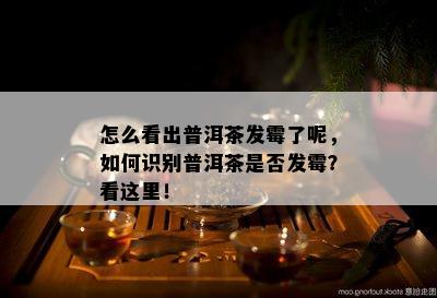 怎么看出普洱茶发霉了呢，如何识别普洱茶是否发霉？看这里！