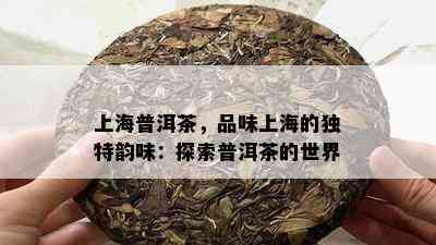 上海普洱茶，品味上海的独特韵味：探索普洱茶的世界