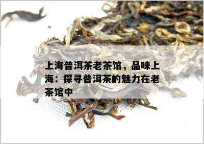 上海普洱茶老茶馆，品味上海：探寻普洱茶的魅力在老茶馆中