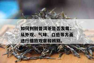 如何判别普洱茶是否发霉：从外观、气味、口感等方面进行细致观察和辨别。