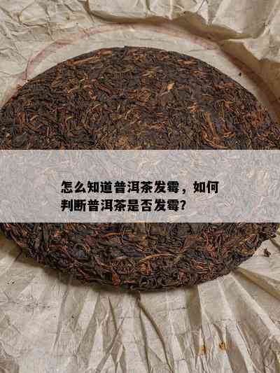 怎么知道普洱茶发霉，如何判断普洱茶是否发霉？