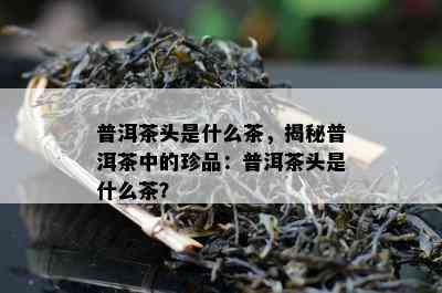 普洱茶头是什么茶，揭秘普洱茶中的珍品：普洱茶头是什么茶？