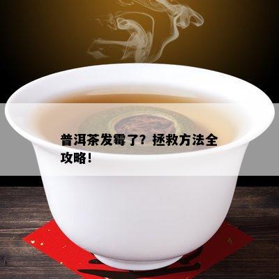 普洱茶发霉了？拯救方法全攻略！