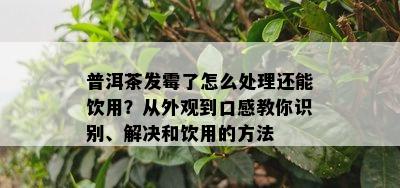 普洱茶发霉了怎么处理还能饮用？从外观到口感教你识别、解决和饮用的方法