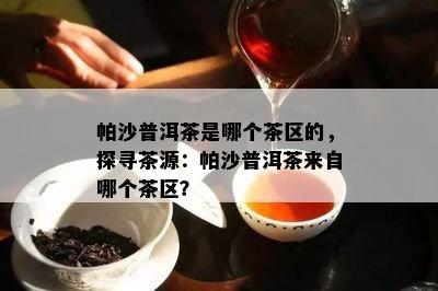 帕沙普洱茶是哪个茶区的，探寻茶源：帕沙普洱茶来自哪个茶区？