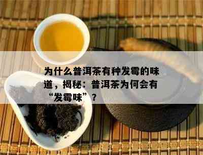 为什么普洱茶有种发霉的味道，揭秘：普洱茶为何会有“发霉味”？