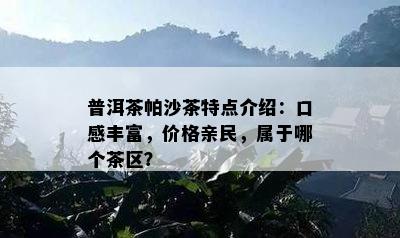 普洱茶帕沙茶特点介绍：口感丰富，价格亲民，属于哪个茶区？