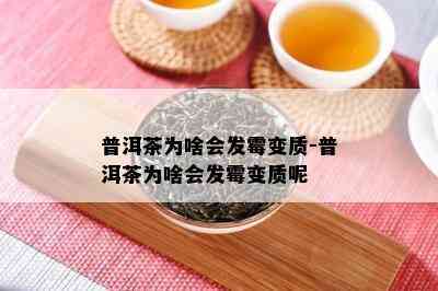 普洱茶为啥会发霉变质-普洱茶为啥会发霉变质呢