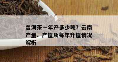 普洱茶一年产多少吨？云南产量、产值及每年升值情况解析