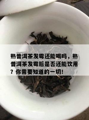 熟普洱茶发霉还能喝吗，熟普洱茶发霉后是否还能饮用？你需要知道的一切！