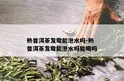 熟普洱茶发霉能泡水吗-熟普洱茶发霉能泡水吗能喝吗