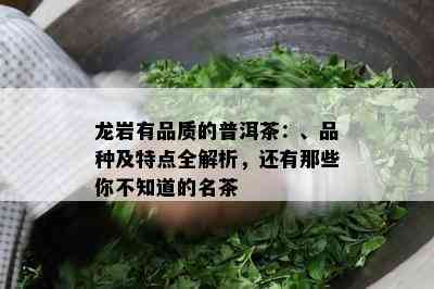 龙岩有品质的普洱茶：、品种及特点全解析，还有那些你不知道的名茶