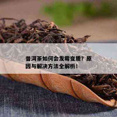 普洱茶如何会发霉变质？原因与解决方法全解析！