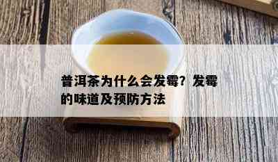 普洱茶为什么会发霉？发霉的味道及预防方法