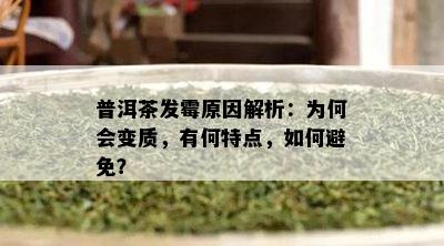 普洱茶发霉原因解析：为何会变质，有何特点，如何避免？