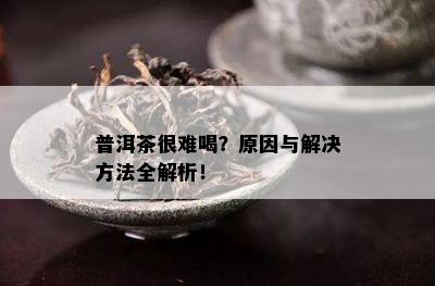 普洱茶很难喝？原因与解决方法全解析！