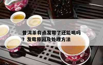 普洱茶有点发霉了还能喝吗？发霉原因及处理方法