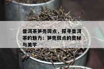 普洱茶笋壳斑点，探寻普洱茶的魅力：笋壳斑点的奥秘与美学