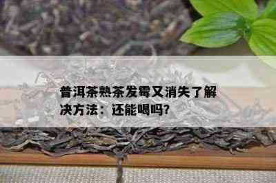 普洱茶熟茶发霉又消失了解决方法：还能喝吗？