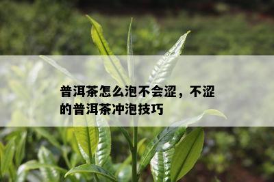 普洱茶怎么泡不会涩，不涩的普洱茶冲泡技巧