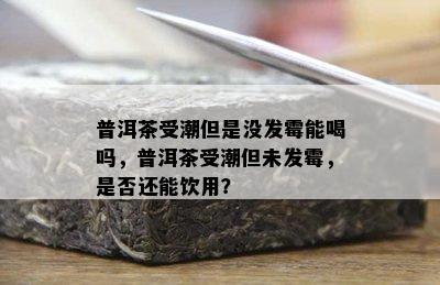 普洱茶受潮但是没发霉能喝吗，普洱茶受潮但未发霉，是否还能饮用？