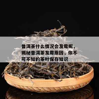 普洱茶什么情况会发霉呢，揭秘普洱茶发霉原因，你不可不知的茶叶保存知识