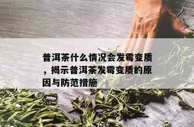 普洱茶什么情况会发霉变质，揭示普洱茶发霉变质的原因与防范措施