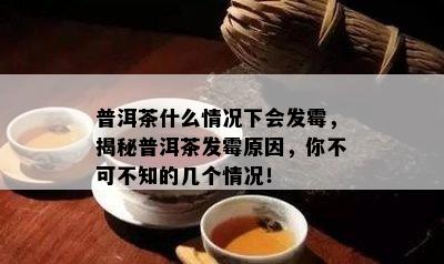 普洱茶什么情况下会发霉，揭秘普洱茶发霉原因，你不可不知的几个情况！