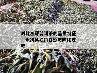 对比测评普洱茶的品质特征：识别其独特口感与陈化过程