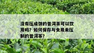 没有压成饼的普洱茶可以饮用吗？如何保存与食用未压制的普洱茶？